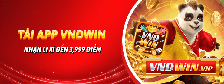 VNDWIN